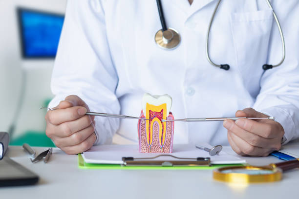 Best Emergency Treatment for Dental Infections or Abscesses in North Great River, NY
